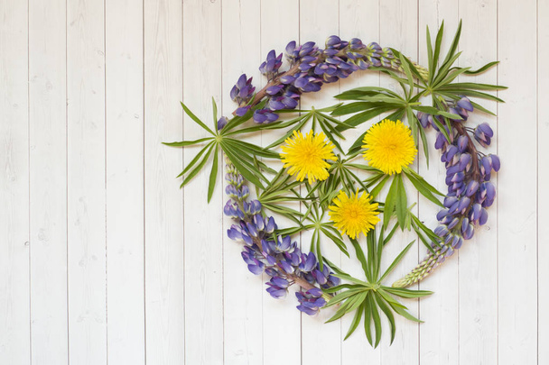 Beautiful flowers of lupine dandelion in the form of a circle on a light background copy space - Photo, Image