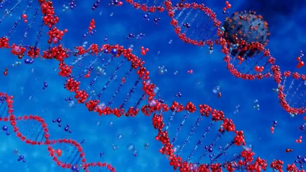 Virus zerstört DNA-Stränge - Filmmaterial, Video