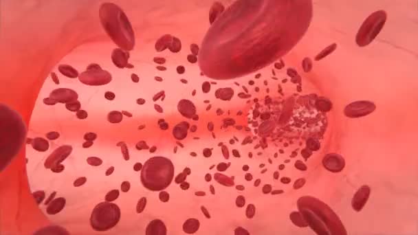 Przepływ komórki krwi, statek w sekcji - Materiał filmowy, wideo