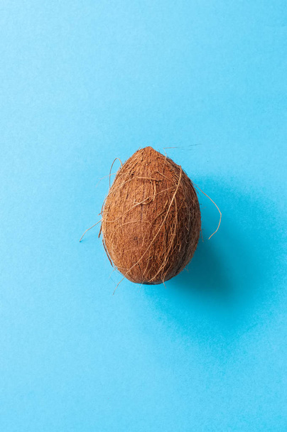 One whole coconut on a blue background. Top view. - Φωτογραφία, εικόνα