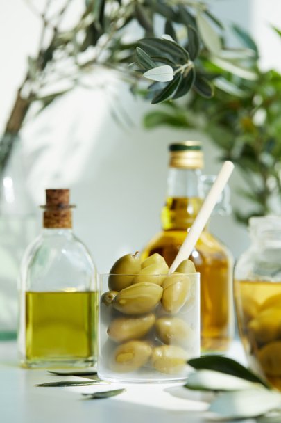 glass with spoon and green olives, jar, various bottles of aromatic olive oil with and branches on white table - Fotografie, Obrázek
