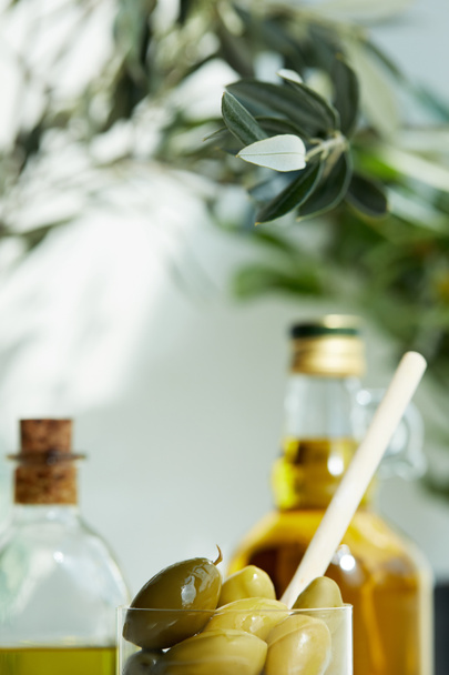 vue rapprochée du verre avec cuillère et olives vertes, diverses bouteilles d'huile d'olive aromatique et branches sur plateau en bois
 - Photo, image