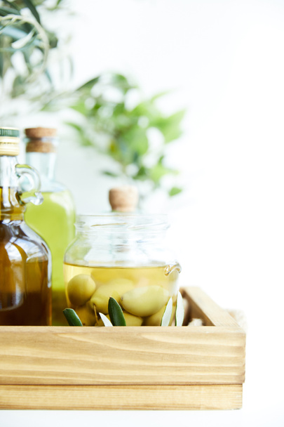 close up view of jar with green olives, bottles of aromatic olive oil with and branches on wooden tray - Foto, Imagen