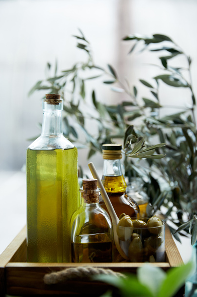 verre avec cuillère et olives vertes, bouteilles d'huile d'olive aromatique et branches sur plateau en bois
 - Photo, image