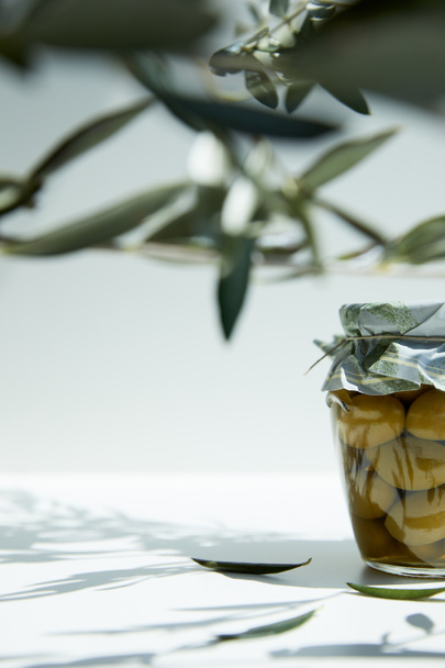 z nádobky aromatické oleje se zelenými olivami a větví na bílém stole - Fotografie, Obrázek
