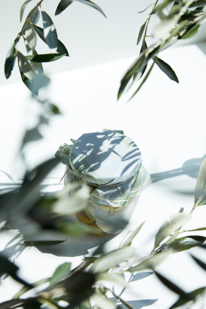 frasco de aceite de oliva aromático y ramas sobre mesa blanca
  - Foto, imagen