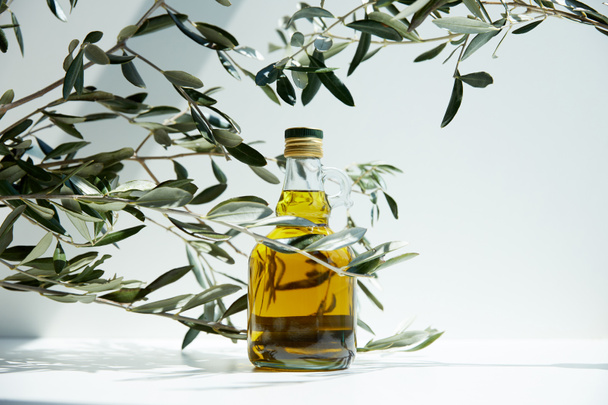 bouteille d'huile d'olive aromatique et branches sur table blanche
 - Photo, image