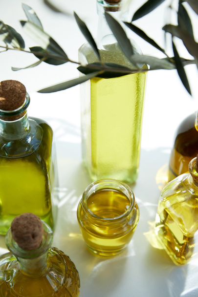 close up view of various bottles of aromatic olive oil, branch and jar on white table - Photo, Image