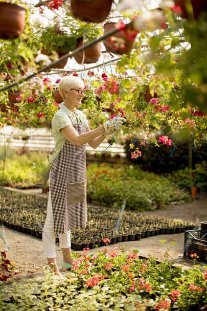 Взгляд на пожилую женщину, работающую над цветами в зеленом саду
 - Фото, изображение