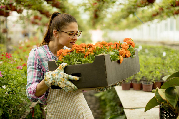 Pretty young woman holding a box full of spring flowers in the greenhouse - Foto, Imagen