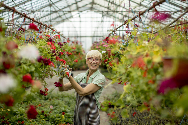 Portret van senior vrouw die werkt in greengarden - Foto, afbeelding