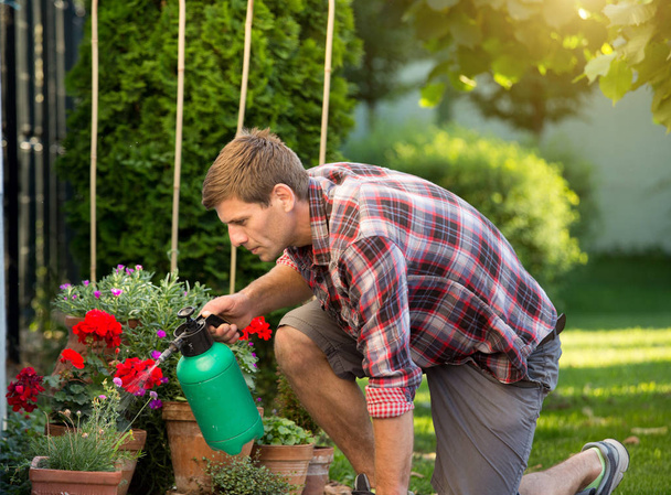 Mann hält Druckflasche und gießt Pflanzen in Blumentöpfen im Garten - Foto, Bild