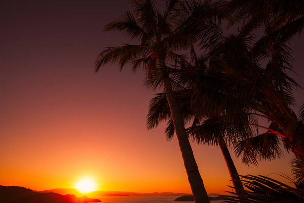 Coucher de soleil à One Tree Hill, île Hamilton. Australie
 - Photo, image