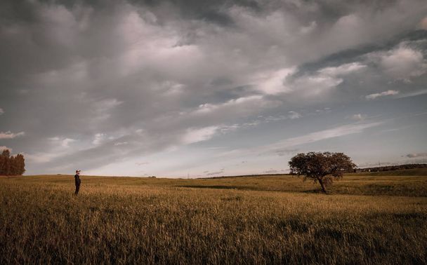 Solitario en medio del pasto de Extremadura bajo un cielo nublado
 - Foto, imagen