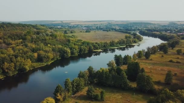 Aerial View. Flying over the beautiful sunny forest trees. Landscape panorama. - Filmati, video
