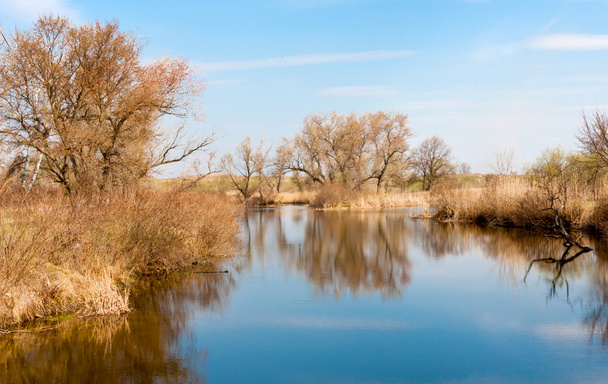 Lake in de vroege lente tijd - Foto, afbeelding
