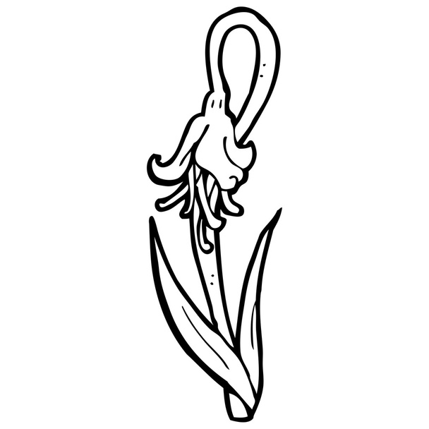 dibujos animados flor de arándano
 - Vector, imagen