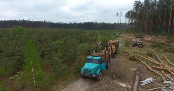 森林伐採森林樹幹特別車と地面に敷設の木の幹を表示の上をゆっくりと飛んで空撮 - 映像、動画
