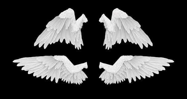3D φτερά λευκά αγγέλου render με σε ένα μαύρο φόντο - Φωτογραφία, εικόνα