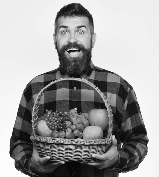 Man with beard holds fruit basket with fruit, white background - Photo, image
