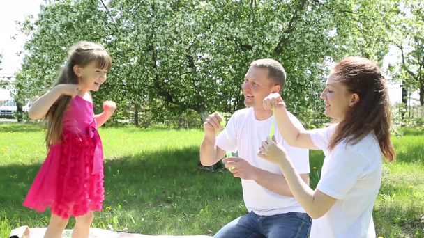Rodiče ať mýdlové bubliny na jejich dceru v létě v parku. Malá dívka hraje s mýdlové bubliny. - Záběry, video