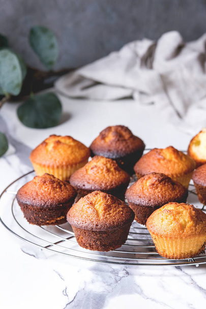 Fresh baked homemade lemon cakes muffins standing on cooling rack with eucalyptus branch over white marble kitchen table. - Foto, imagen