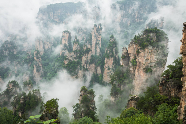 Zhangjiajie Forest Park. Gigantic pillar mountains rising from the canyon. Hunan province, China. - Photo, Image