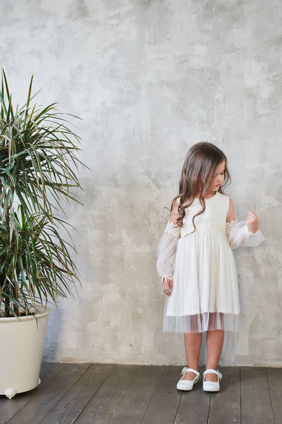 pretty little girl in stylish white dress posing on grey background , Children lookbook concept  - Photo, Image