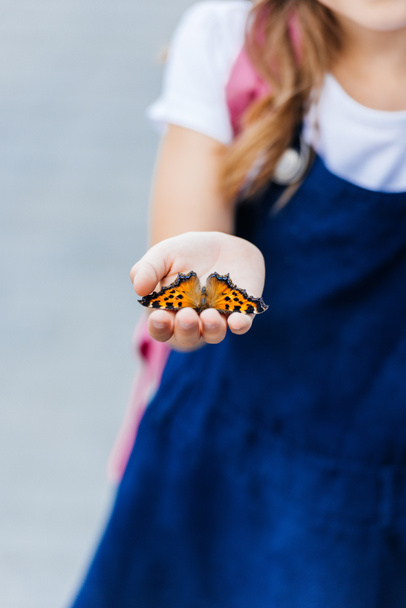 cropped shot of little child holding beautiful butterfly in hand  - Photo, Image