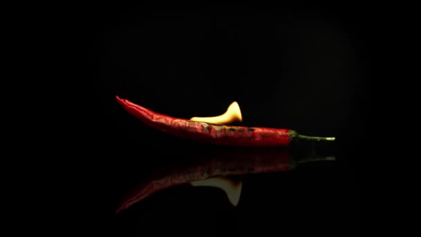 Burning red chili pepper isolated on a black background, on a black mirror surface with reflections. - Footage, Video