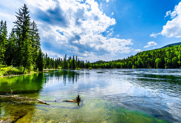 Clearwater Lake in Wells Gray Provincial Park, British Columbia, Canada. Озеро высоко в горах Карибу и питает реку Клируотер, а затем реку Томпсон.
 - Фото, изображение