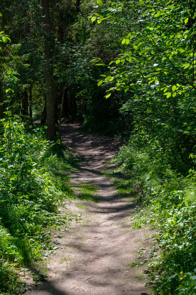 camino de grava vacío con pistas de barro en el campo en perspectiva de calor de verano en el bosque
 - Foto, Imagen