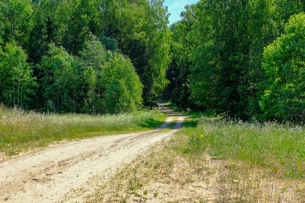 tyhjä soratie, jolla on mutaraitoja maaseudulla kesähelteellä metsässä
 - Valokuva, kuva