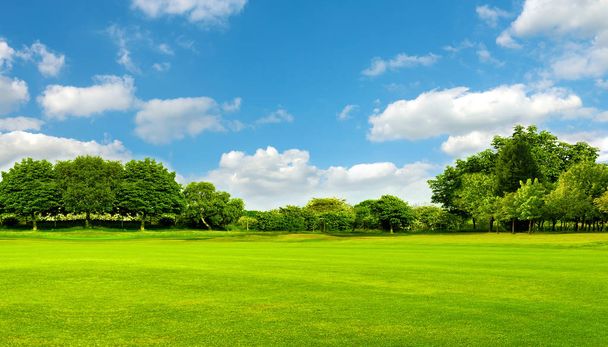Zöld mező, fa és kék ég.Nagy, mint egy háttér, web banner - Fotó, kép