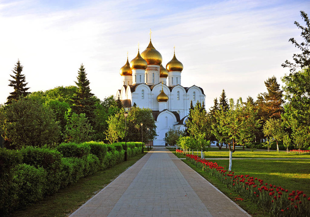 Zomer uitzicht op kathedraal van Yaroslavl stad, gouden toeristische cirkel - Foto, afbeelding