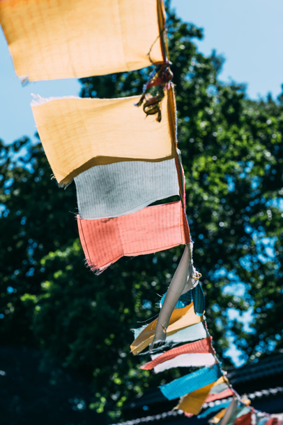 Γιρλάντα με πολύχρωμες σημαίες σε εξωτερικούς χώρους με δέντρα σε φόντο σε κοντινό πλάνο - Φωτογραφία, εικόνα
