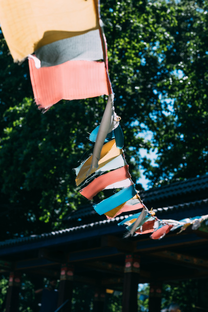Garland värikkäitä lippuja ulkona puita taustalla
 - Valokuva, kuva