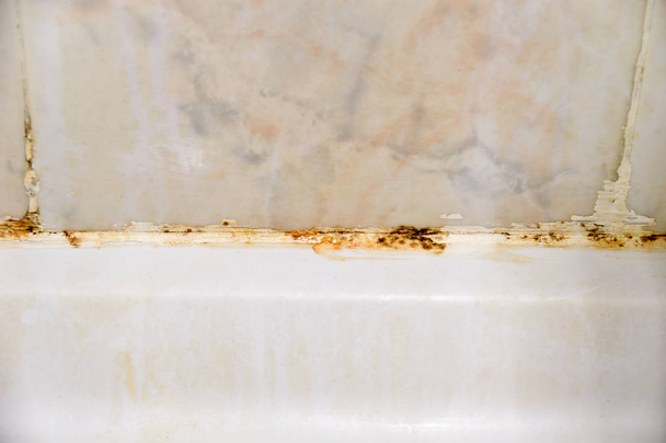 Repugnante casa ducha baño sellador de azulejos con moho y moho
 - Foto, imagen