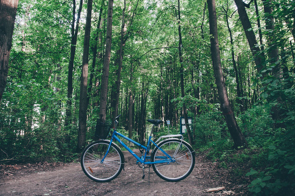 Blue bicycle without people in the morning forest - Foto, Imagem