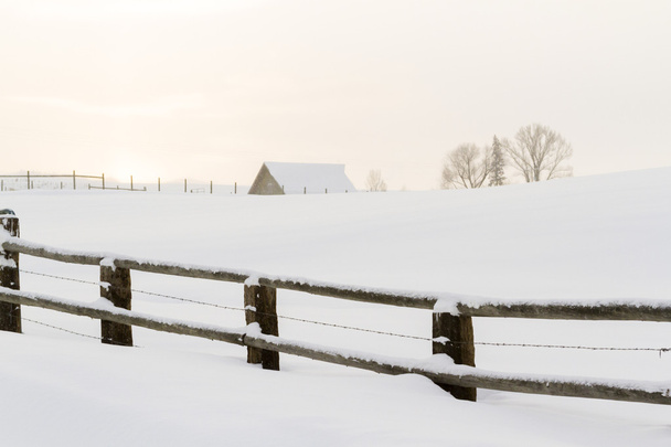 Winter - Fotoğraf, Görsel
