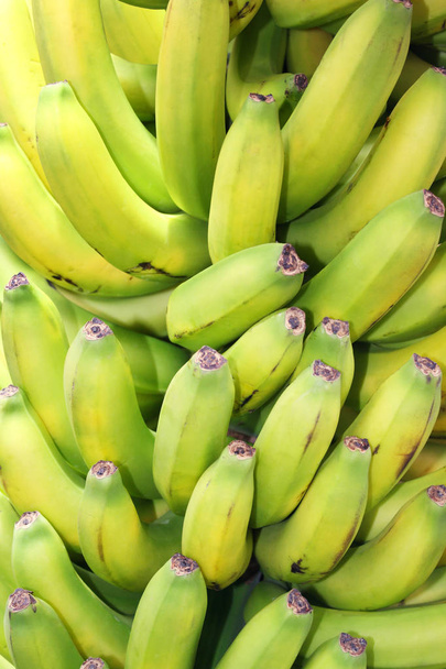 Bunch of bananas typical of the Canary Islands - Photo, Image