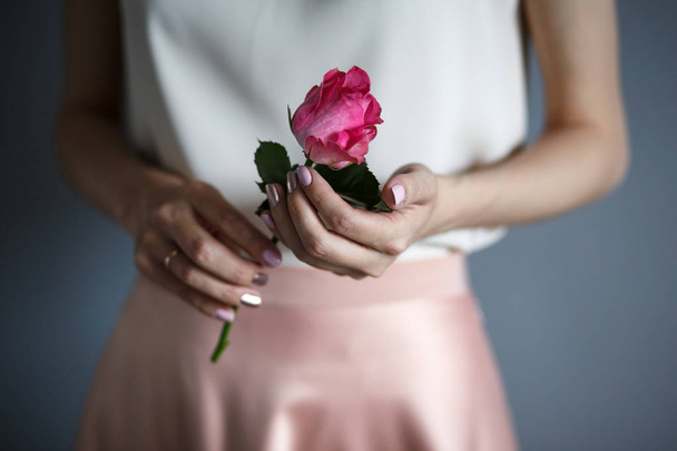 woman's hands hold a tender rose, romantic mood - Valokuva, kuva