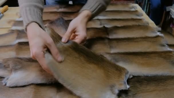 Skinner working with mink fur skin - Footage, Video