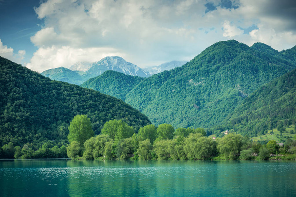 Zelený Les, který pokrývá hory na Most na Soči, Slovinsko. - Fotografie, Obrázek