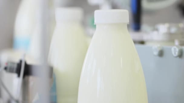 Makine süt üretim satırında. Ambalaj şişe. Şişe etiket süt tesisi - Video, Çekim
