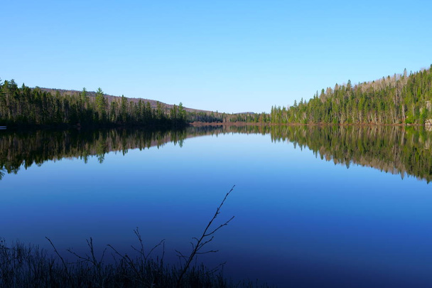 Krajobraz nad jeziorem, w dzikim lesie odzwierciedlone na spokojnej wodzie spokojnej, piękny słoneczny poranek w północnej części w prowincji Quebec, w Kanadzie w spring. - Zdjęcie, obraz