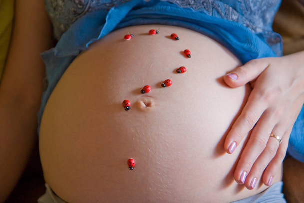 belly of a pregnant woman with a question mark from ladybirds - Foto, Imagem