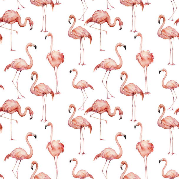 Watercolor pink flamingo pattern. Hand painted bright exotic birds isolated on white background. Wild life illustration for design, print, fabric or background. - Photo, Image