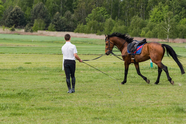 Jockey tren carrera caballo al aire libre
. - Foto, imagen