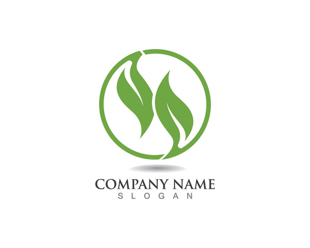hoja verde naturaleza logotipo y símbolo plantilla Vector
 - Vector, Imagen